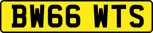 BW66WTS