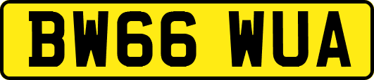 BW66WUA