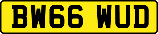 BW66WUD