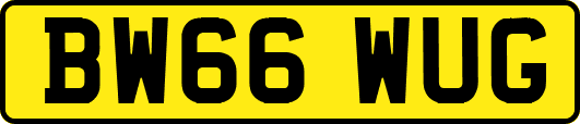 BW66WUG
