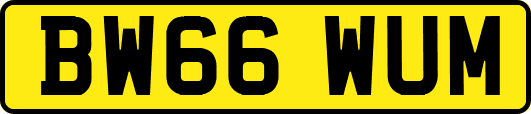 BW66WUM