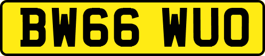 BW66WUO