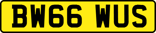 BW66WUS