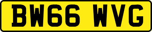 BW66WVG