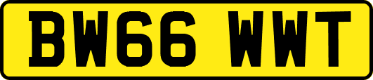 BW66WWT