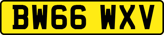 BW66WXV