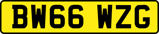 BW66WZG