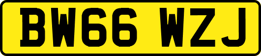 BW66WZJ