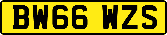 BW66WZS