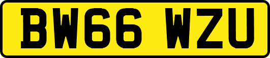 BW66WZU