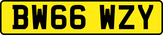 BW66WZY