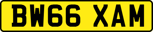 BW66XAM