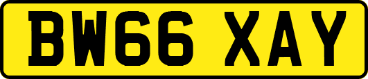 BW66XAY