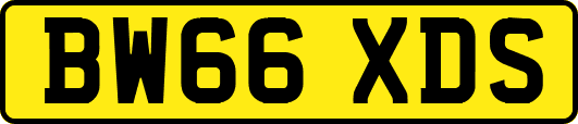 BW66XDS