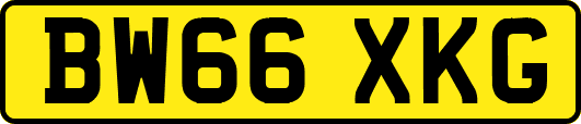 BW66XKG