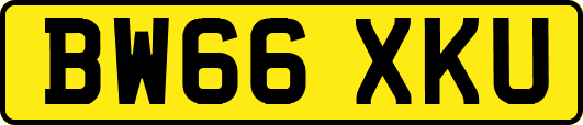 BW66XKU