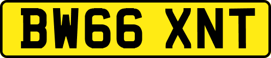 BW66XNT