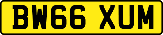 BW66XUM