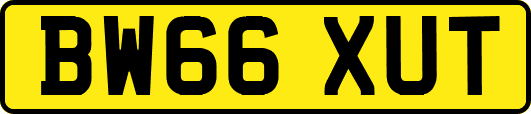 BW66XUT