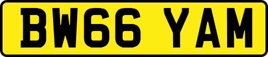 BW66YAM