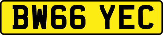BW66YEC
