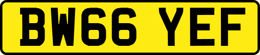 BW66YEF