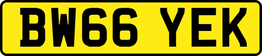 BW66YEK