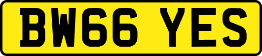BW66YES