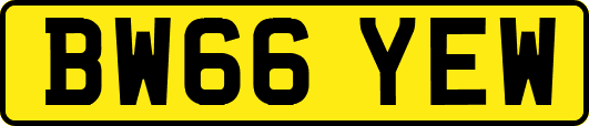 BW66YEW