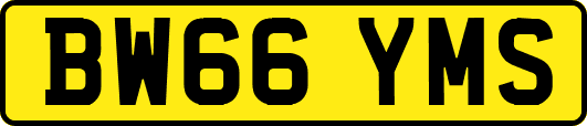 BW66YMS