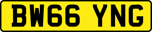BW66YNG