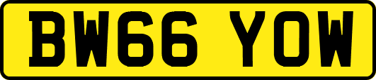 BW66YOW