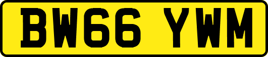 BW66YWM