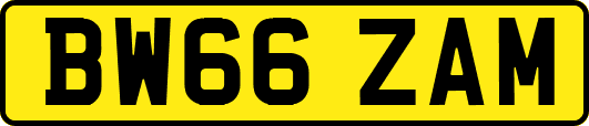 BW66ZAM