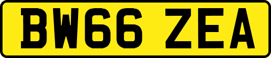 BW66ZEA