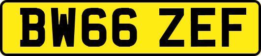 BW66ZEF
