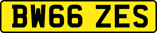 BW66ZES