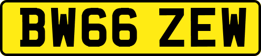 BW66ZEW