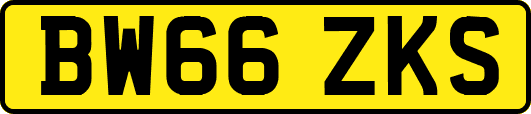 BW66ZKS
