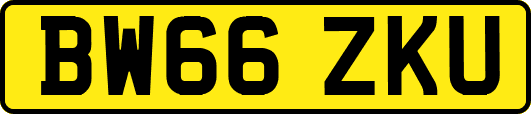 BW66ZKU