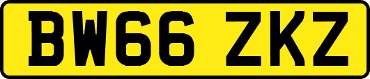 BW66ZKZ