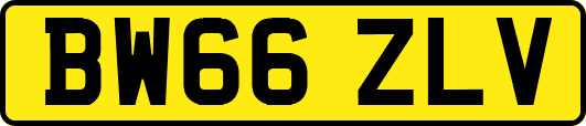 BW66ZLV