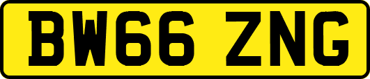 BW66ZNG