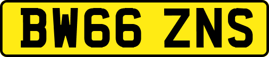 BW66ZNS
