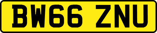 BW66ZNU