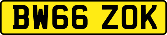 BW66ZOK