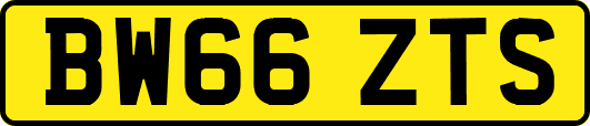 BW66ZTS