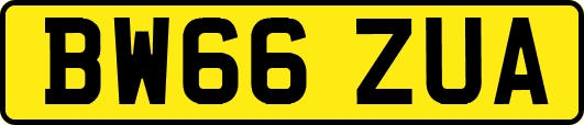 BW66ZUA