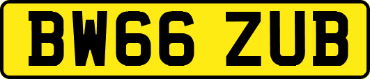 BW66ZUB