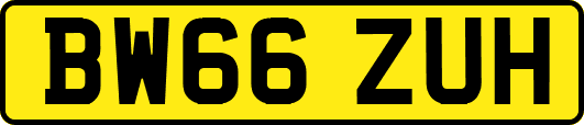 BW66ZUH